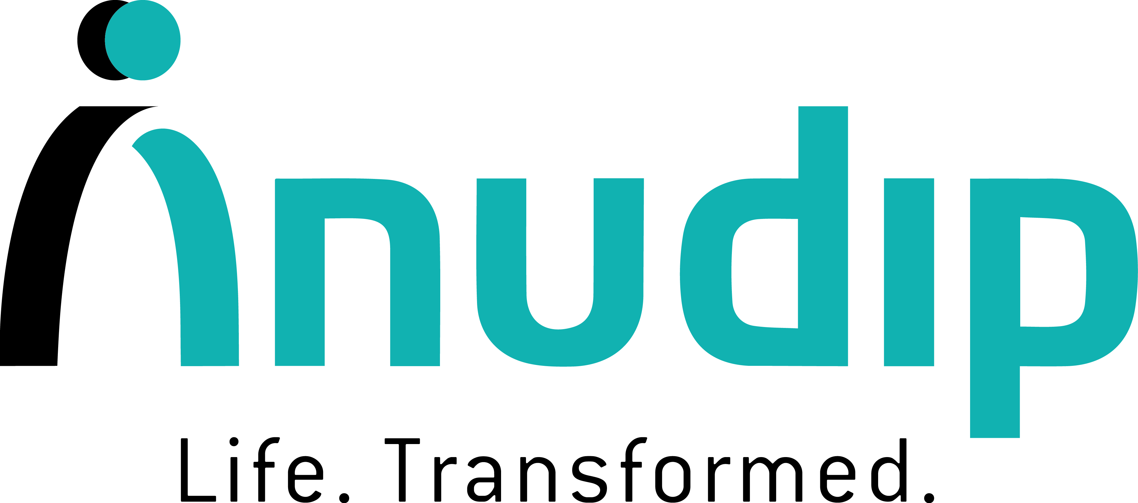 Anudip logo